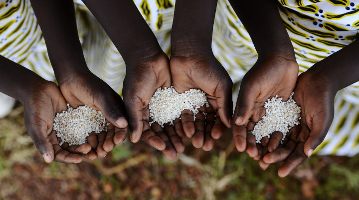 hands of three black children holding few rice grains